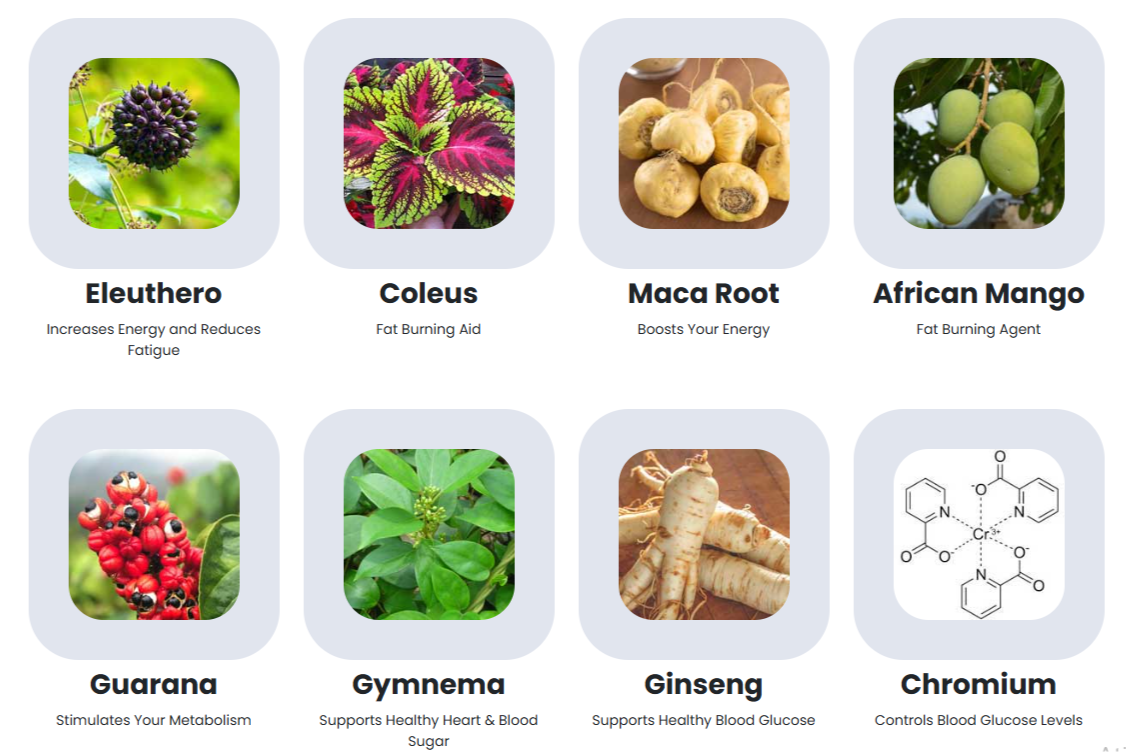 Ingredientes do Sugar Defender